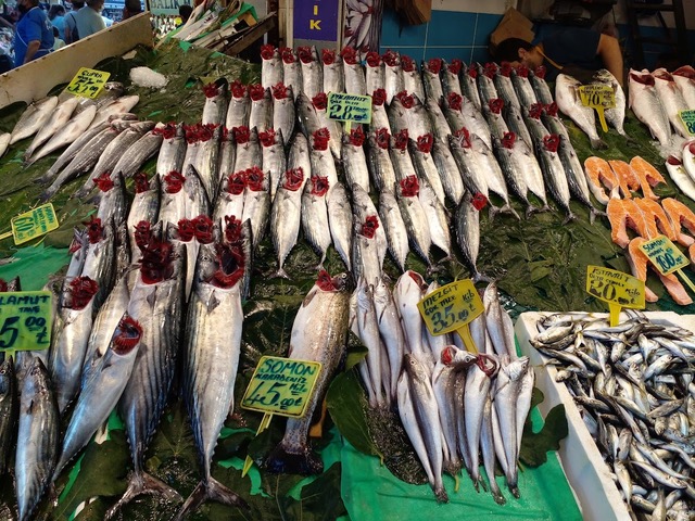 Η εποχή της παλαμίδας στον Βόσπορο: Από τον Ηρόδοτο στο σήμερα