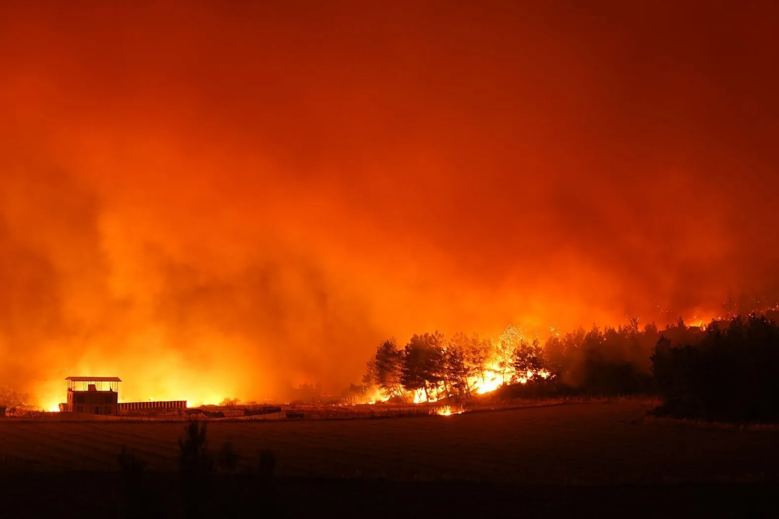 Η Σμύρνη καίγεται - Οι φλόγες από Μπορνόβα έχει εξαπλωθεί στην Μπούτζα.